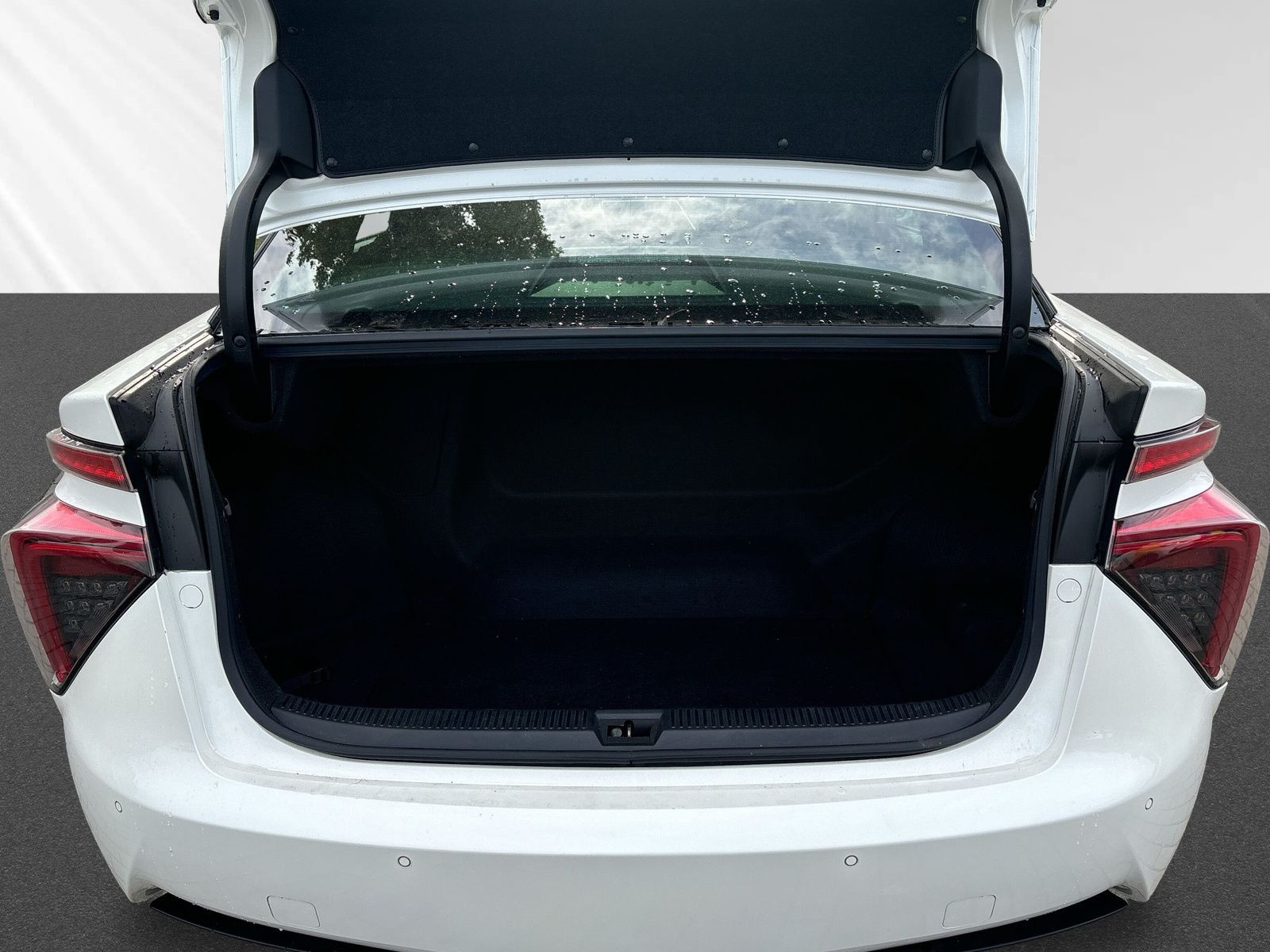 Mirai Advanced 154PS+WASSERSTOFF+SHZ+LED+