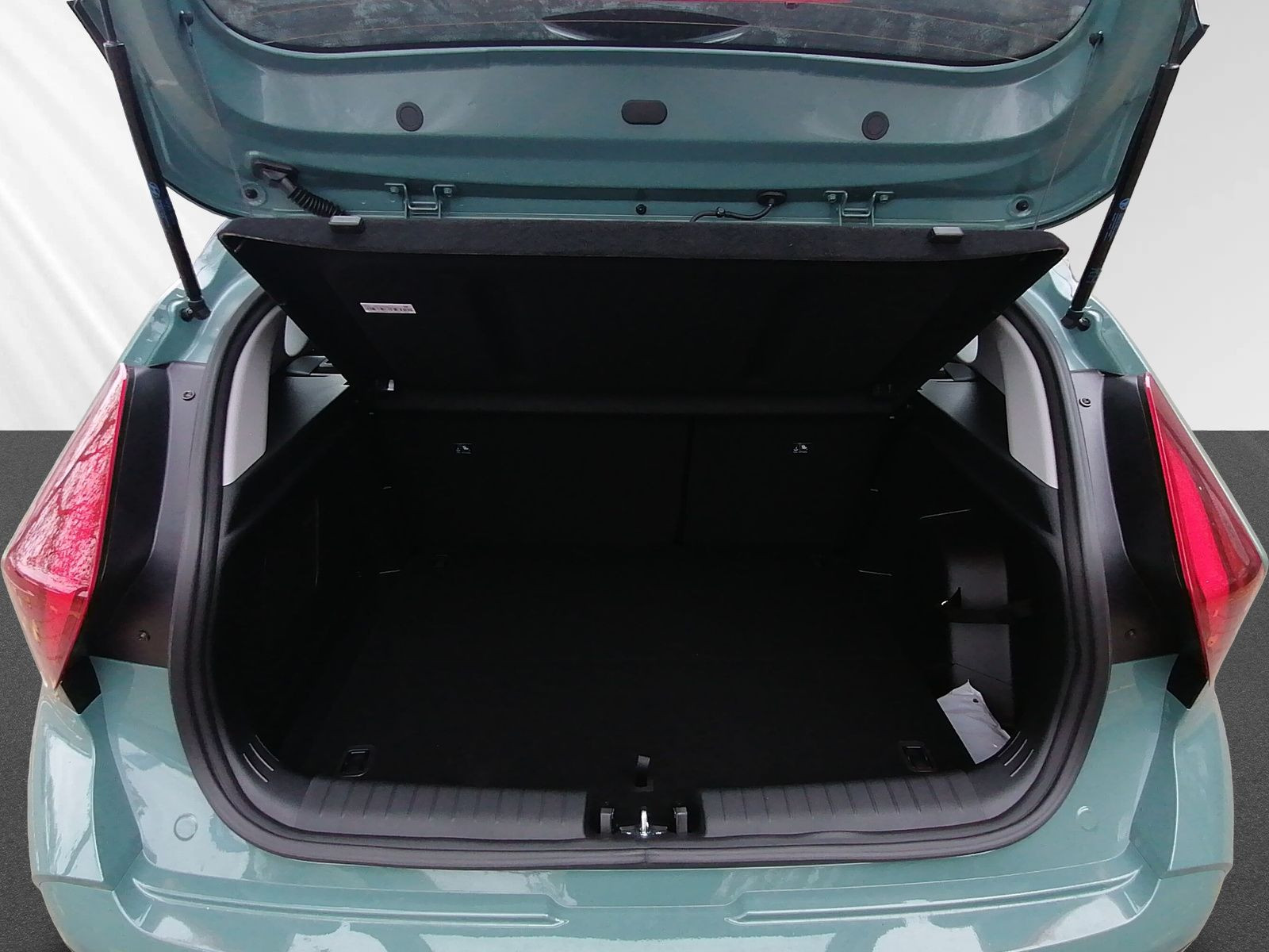 BAYON FL (MY25) 1.0 T-GDI 6-MT 2WD Trend+BOSE+KP