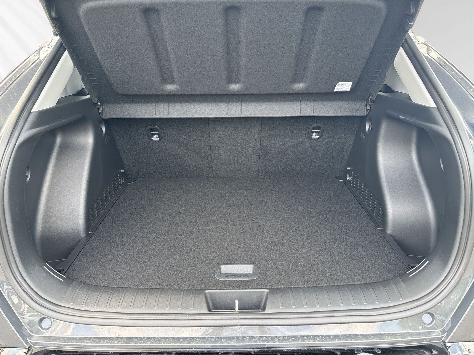 KONA SX2 MY25 EV 65,4kWh Trend ASSIST.PAK+Heckkl