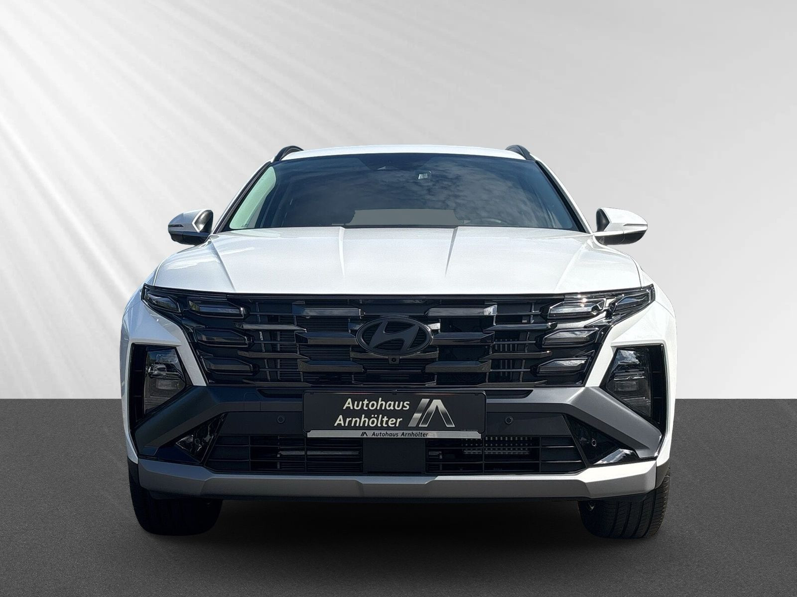 TUCSON PHEV MY25 1.6 T-GDi 252PS 2WD PRIME +ASP+