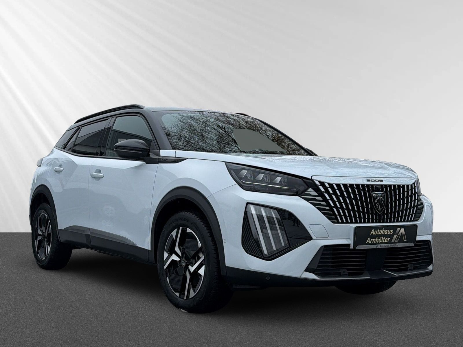 2008 GT Hybrid 136 DSC6+KAMERA+AMBIENTE+++++++++