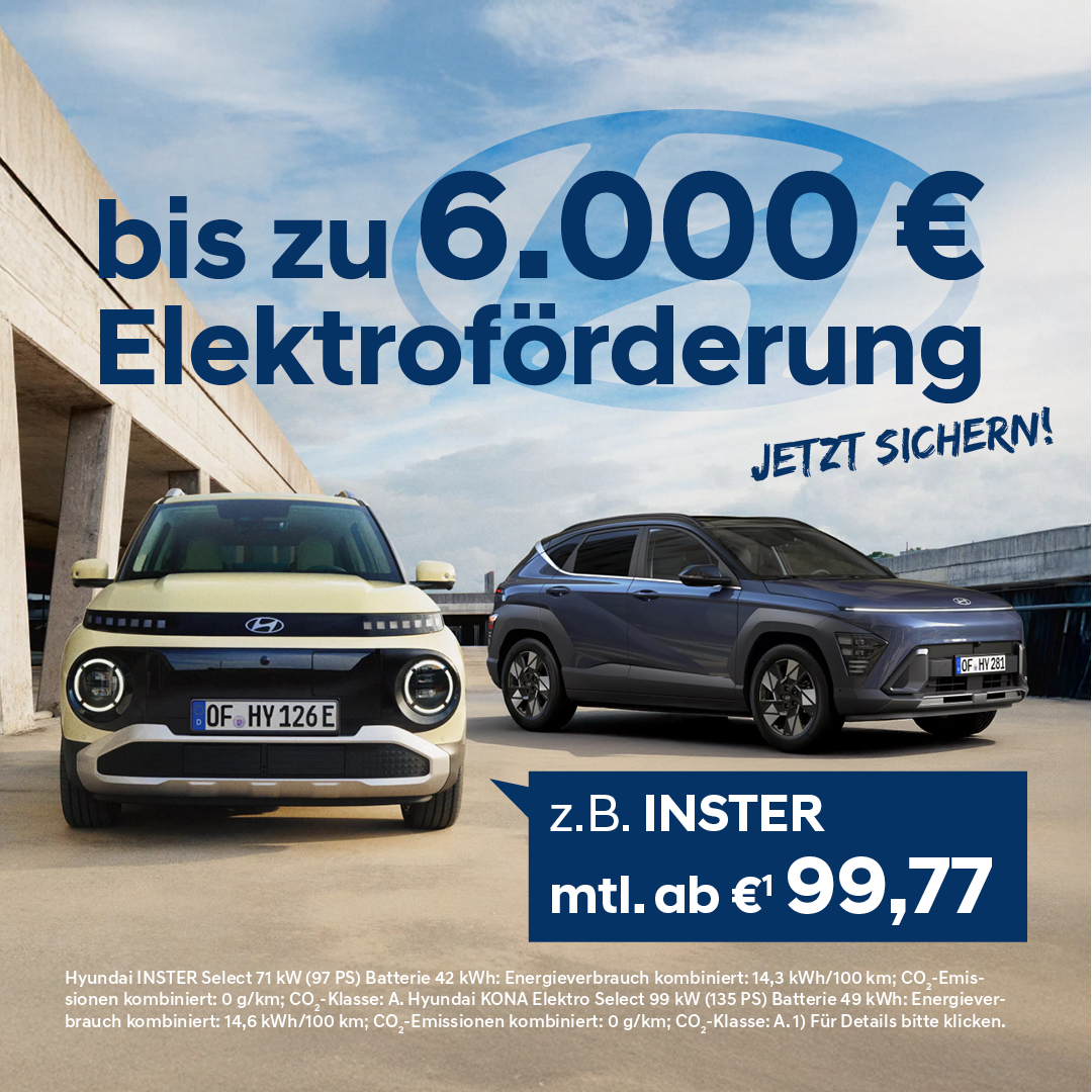 BEITRAG Hyundai Elektro Förderprämie