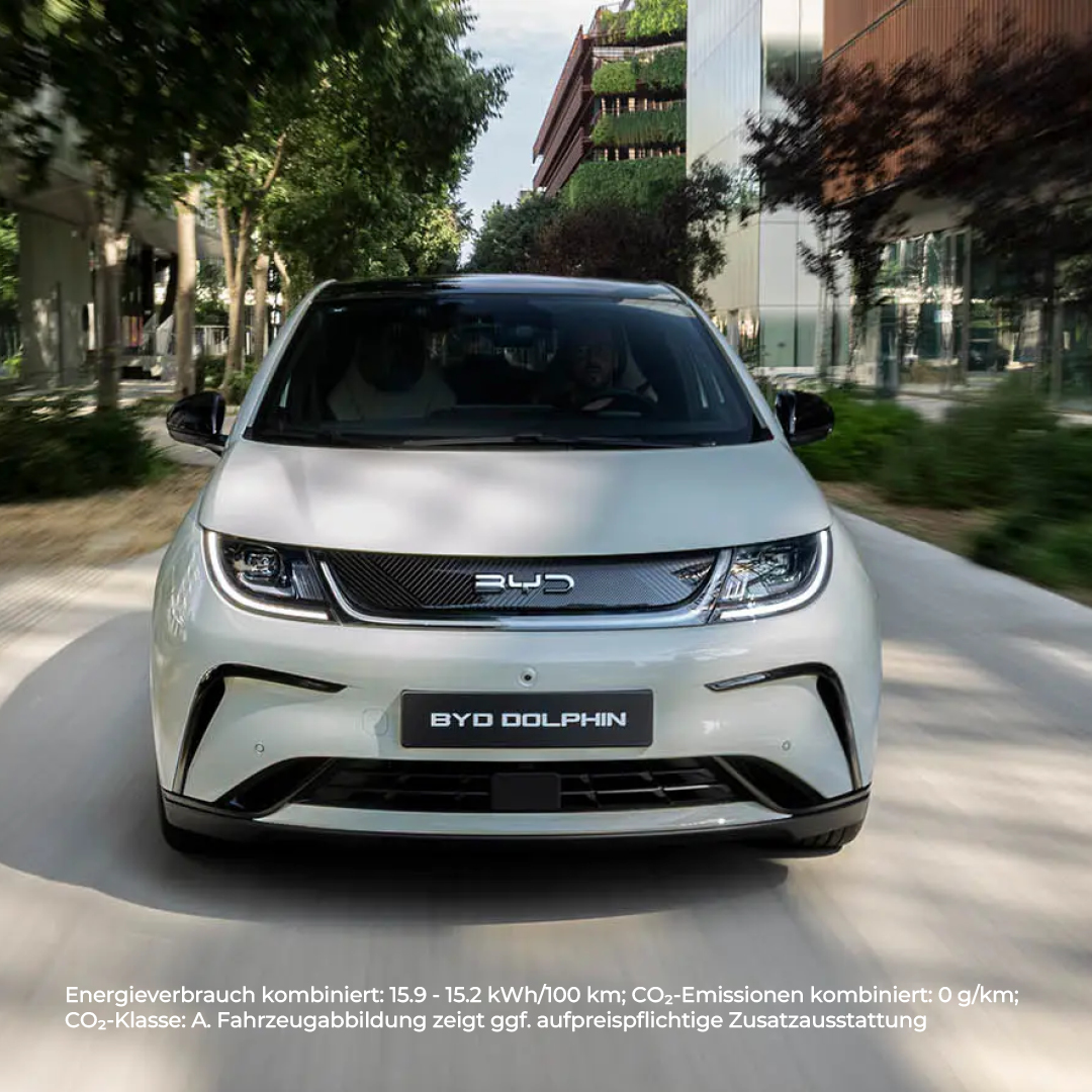 BEITRAG BYD Modellseite DOLPHIN