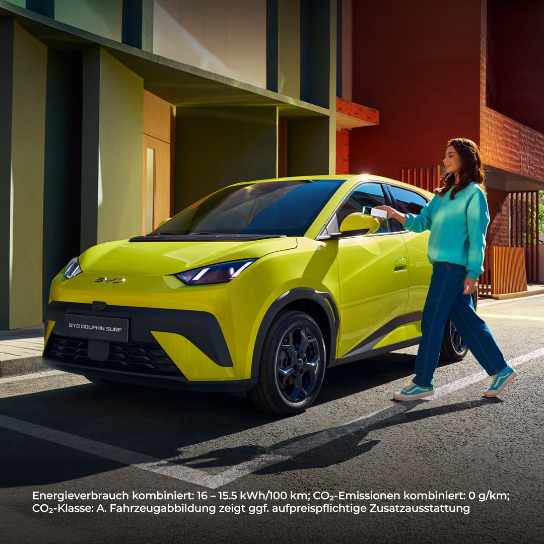 BEITRAG BYD Modellseite DOLPHIN SURF
