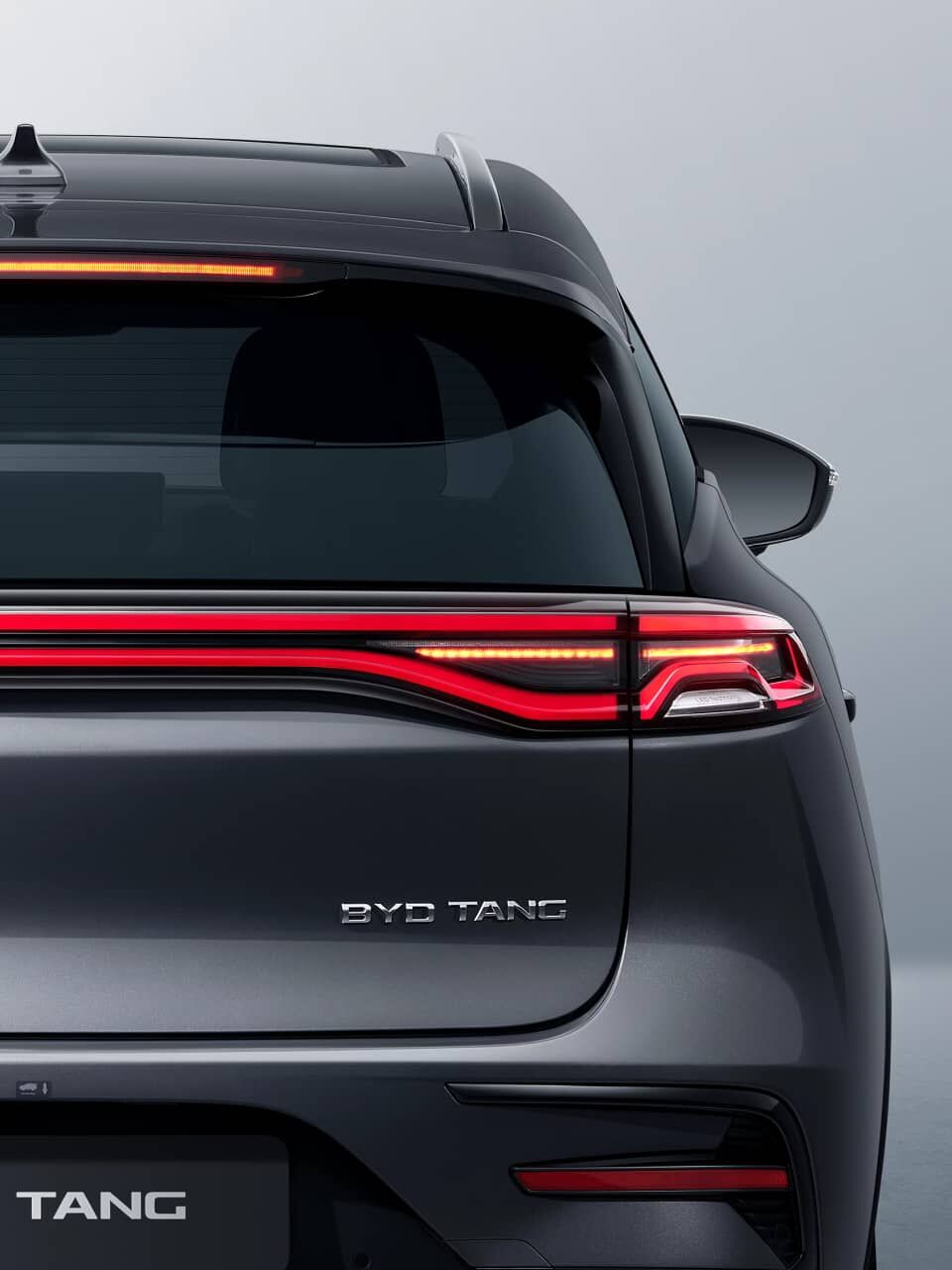 Heckansicht des BYD TANG